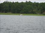 Sweden 2007-08 223